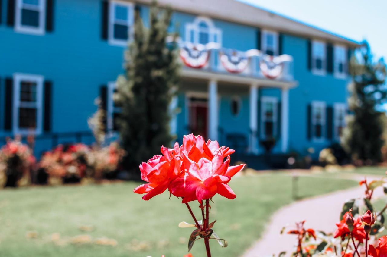 La Bastide Bed And Breakfast Dundee エクステリア 写真